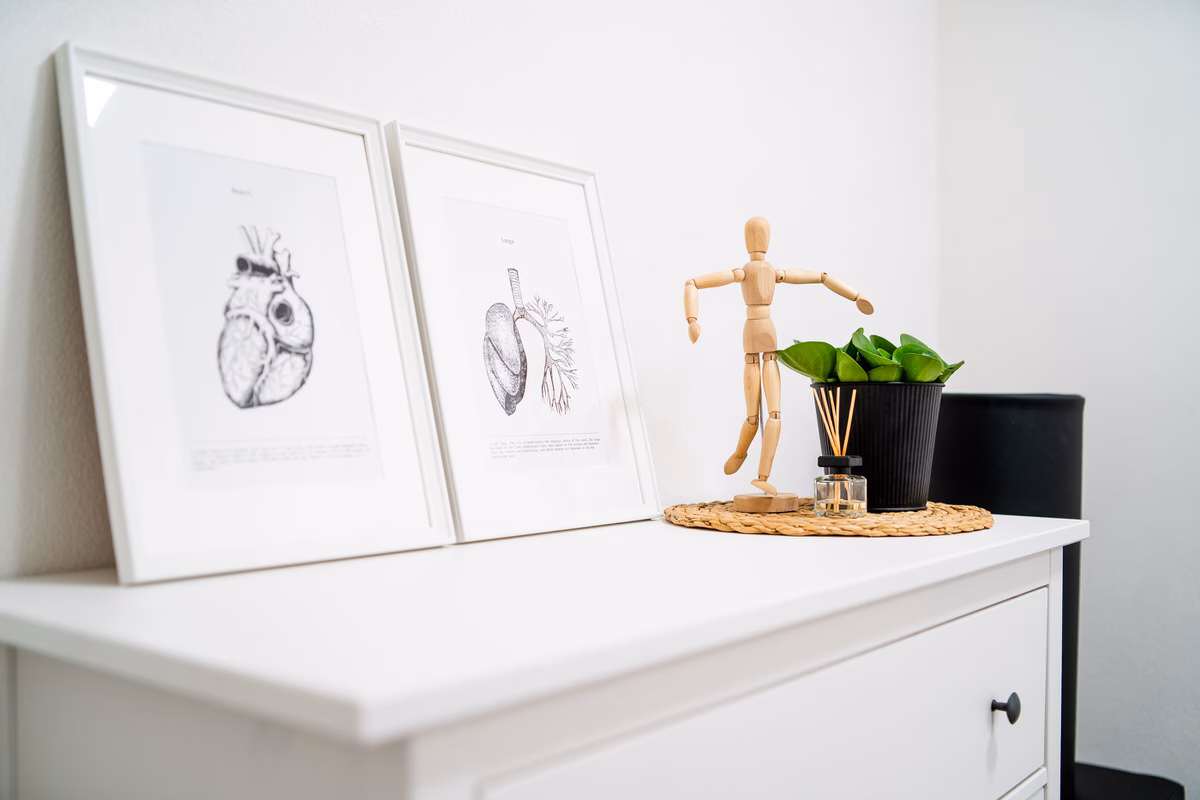 Kommode mit Anatomie-Bildern von Herz und Lunge