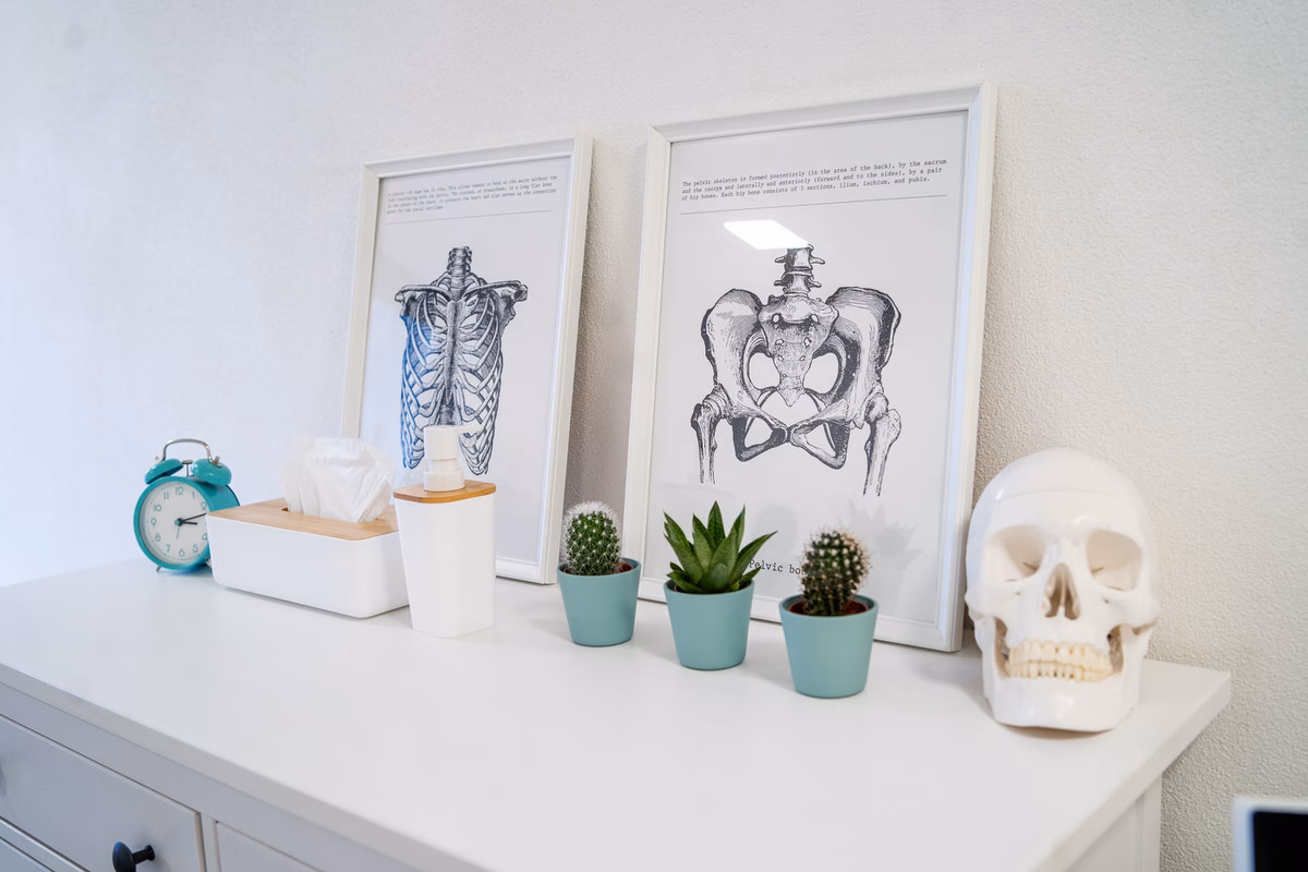 Kommode mit Anatomie-Bildern, Pflanzen und Schädelmodell