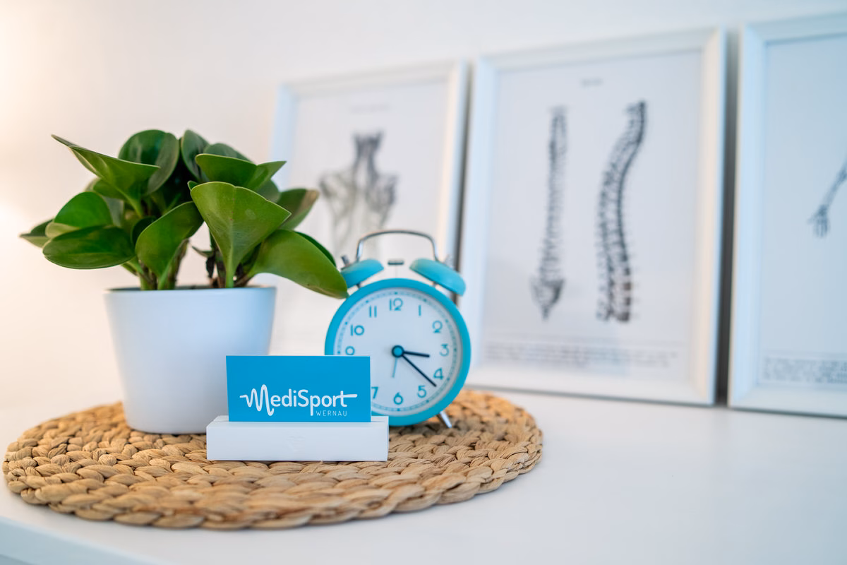 Pflanze, Wecker und MediSport-Visitenkarte vor Anatomie-Bildern